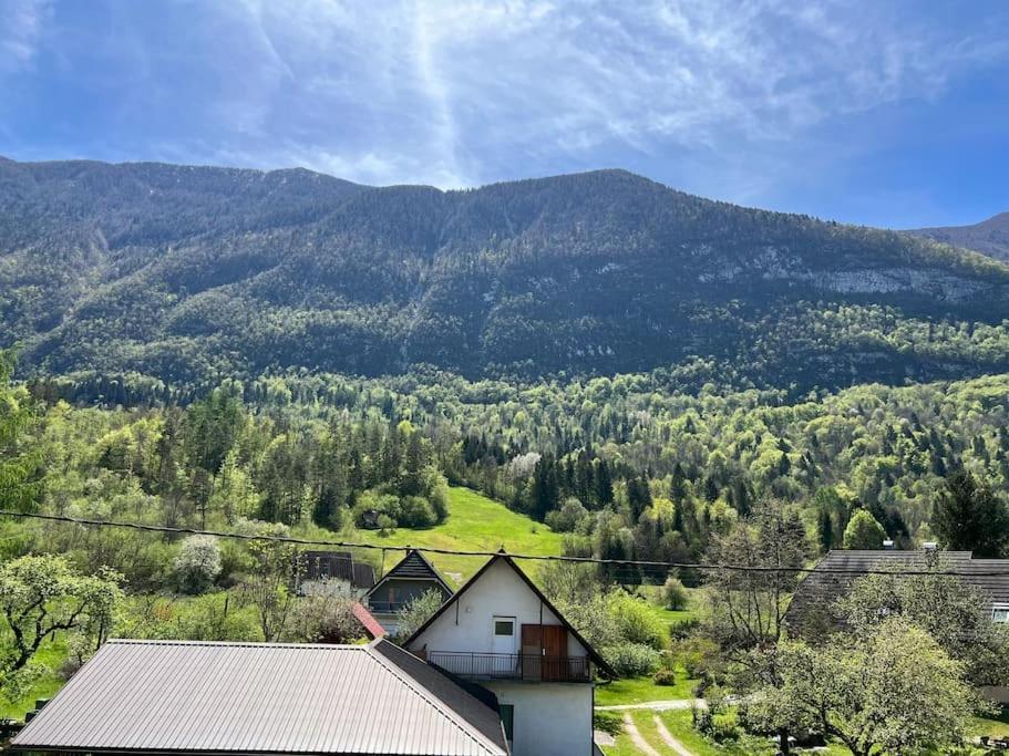 Apartma Jasna โบเว็ก ภายนอก รูปภาพ
